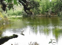 Imagen Laguna Chillacocha